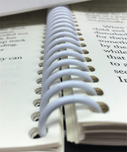 Show details for Spiral Coil Element - Black & White 12"